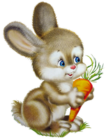 a cute bunny with a carrot